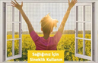 Sağlığınız İçin Sineklik Kullanın