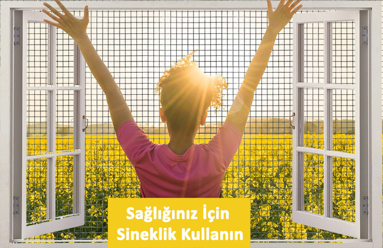 Sağlığınız İçin Sineklik Kullanın